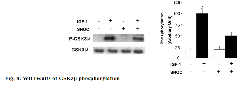 IJPS-results