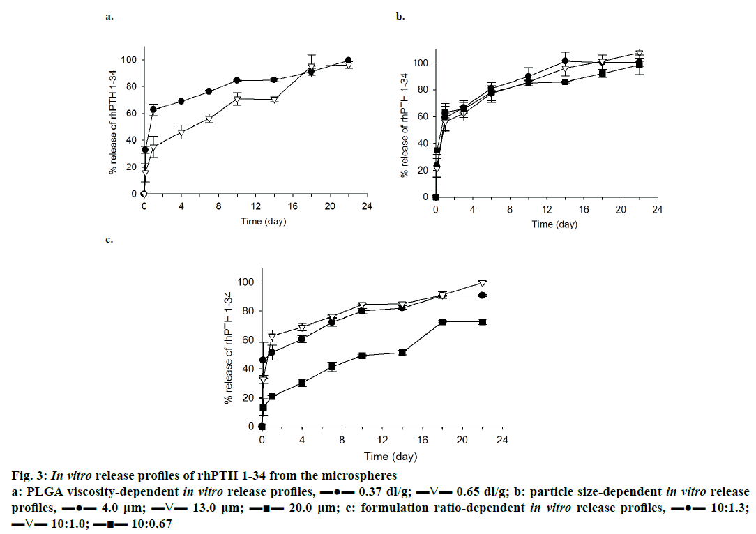 IJPS-rhPTH-1-34-microspheres