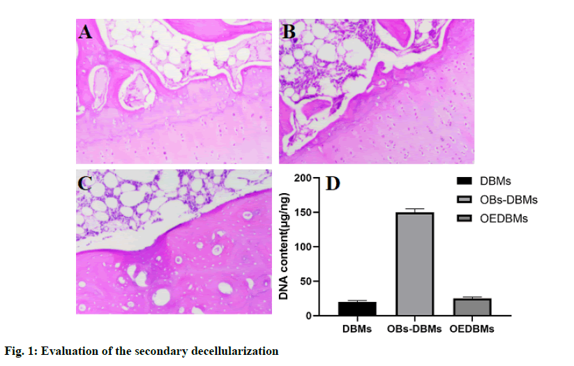 IJPS-secondary-decellularization