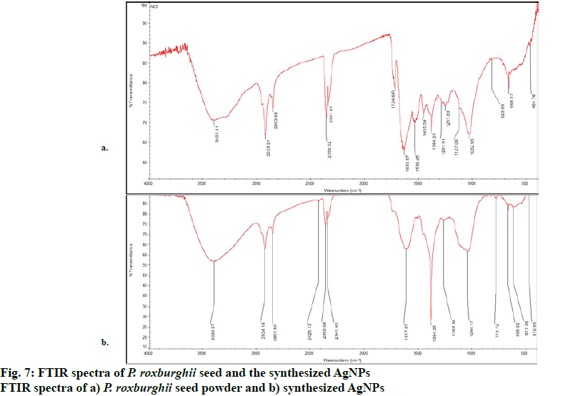 IJPS-seed-powder