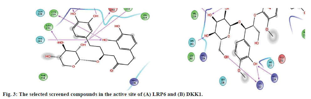 IJPS-selected-screened