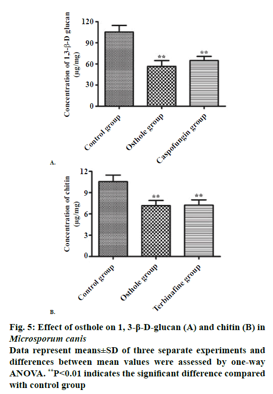 IJPS-separate-experiments