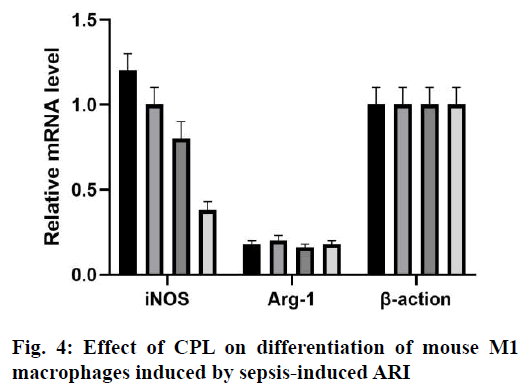 IJPS-sepsis-induced