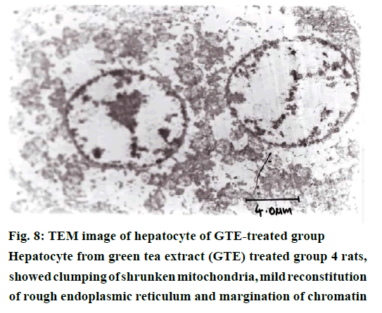 IJPS-showed-clumping-shrunken