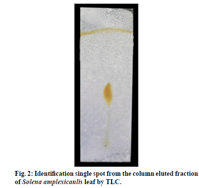 IJPS-single-spot-column-eluted-fraction