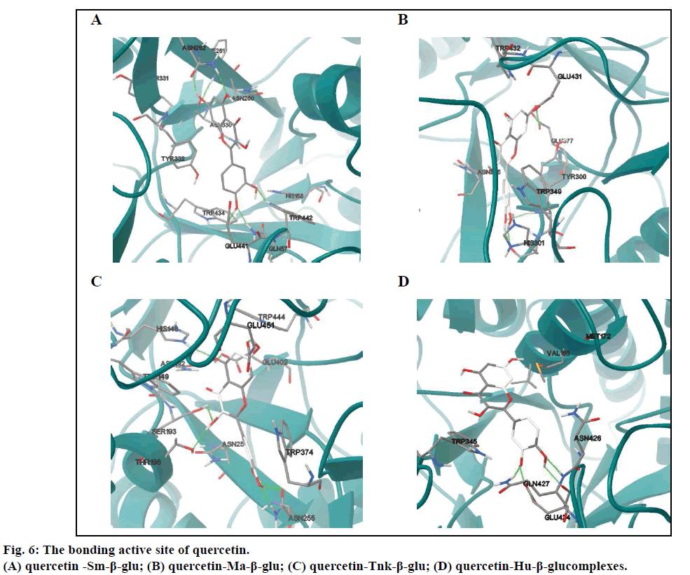 IJPS-site-of-quercetin