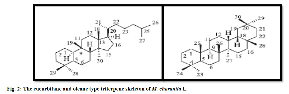 IJPS-skeleton