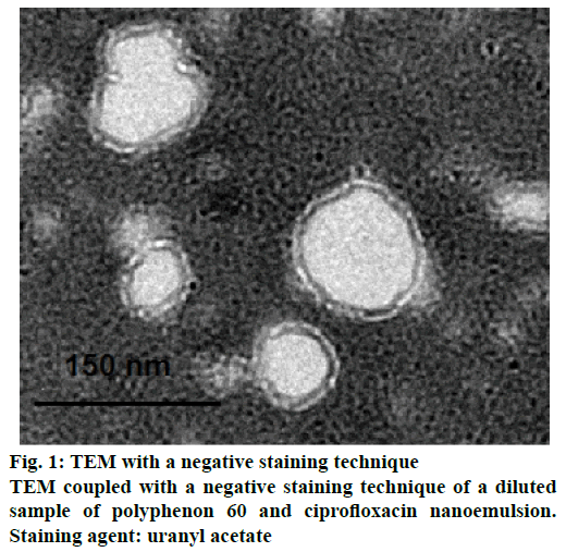 IJPS-staining-technique