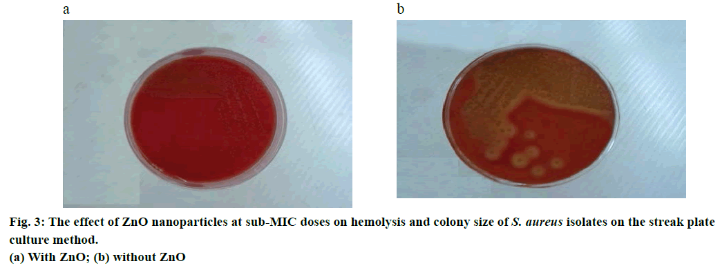 IJPS-streak-plate-culture-method