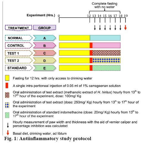 IJPS-study-protocol