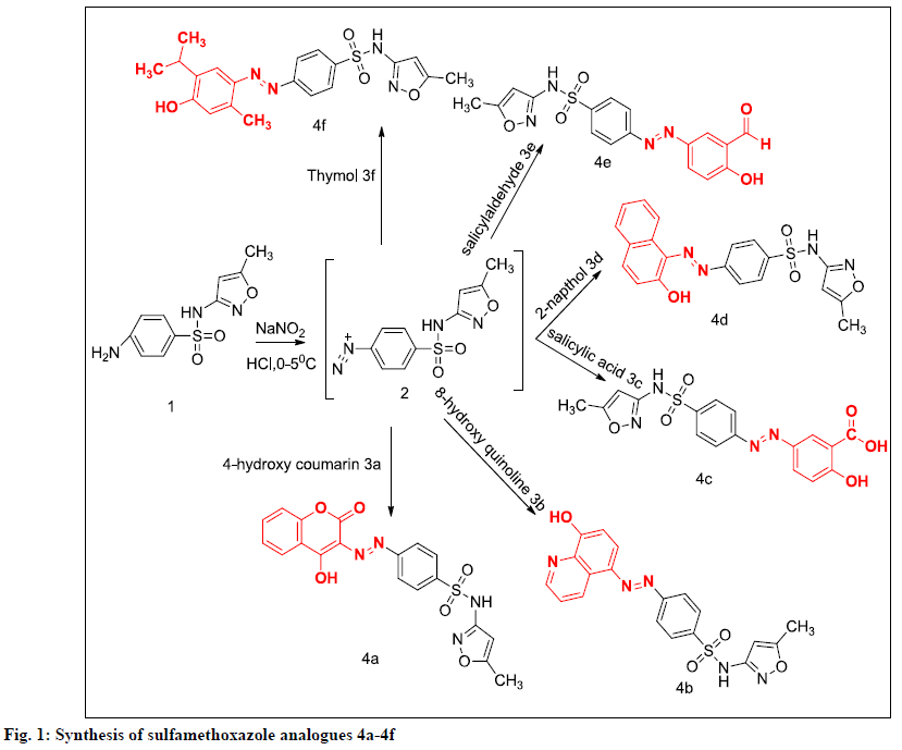 IJPS-sulfamethoxazole-analogues