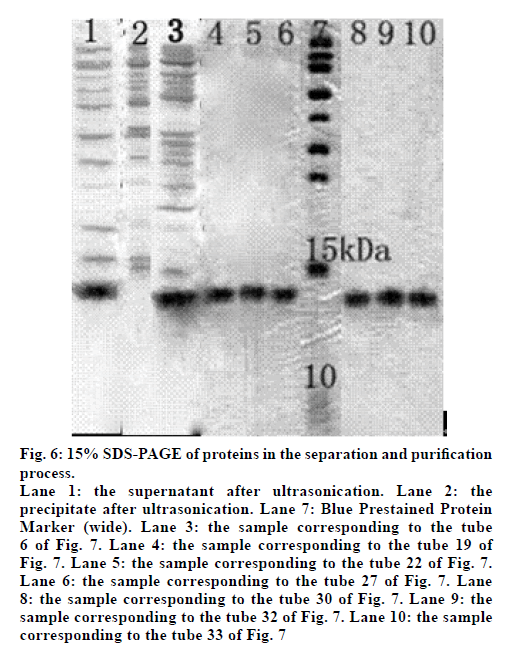 IJPS-supernatant-after-ultrasonication