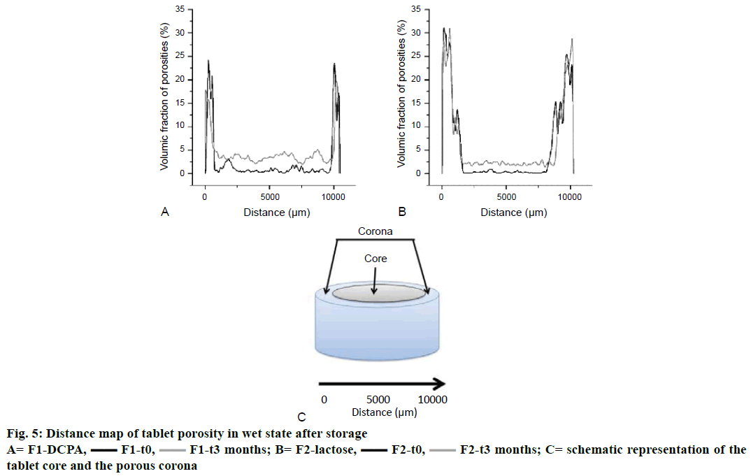 IJPS-tablet-porosity