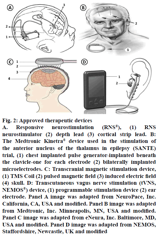 IJPS-therapeutic-devices