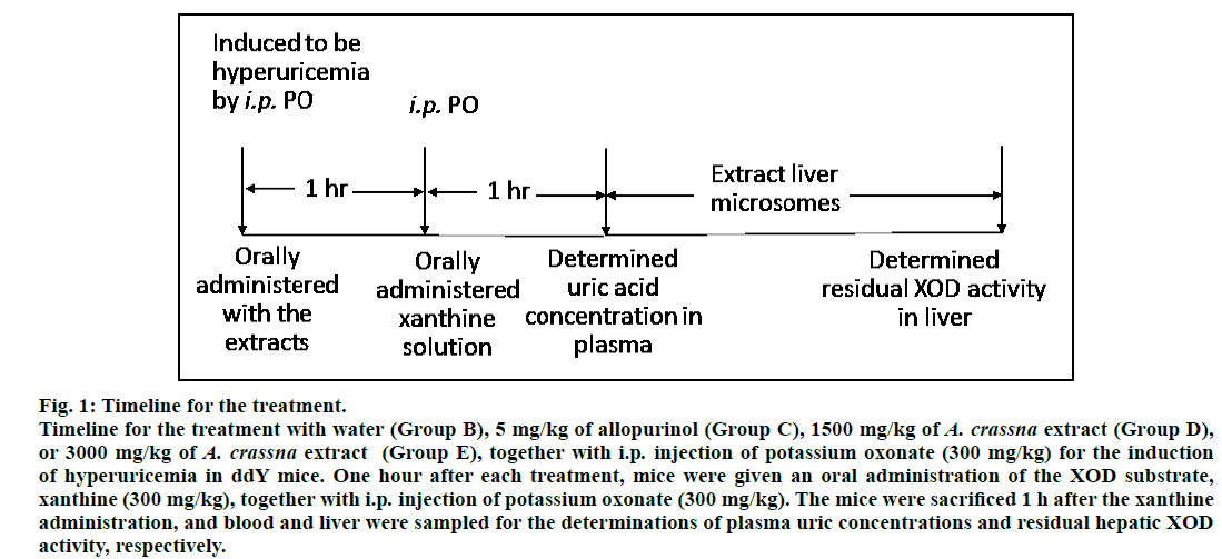 IJPS-timeline-treatment