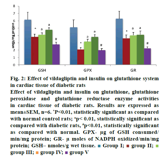 IJPS-tissue-diabetic-rats