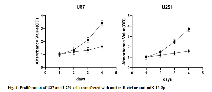 IJPS-transfected