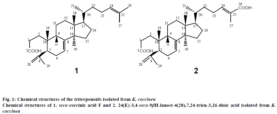 IJPS-triterpenoids-isolated