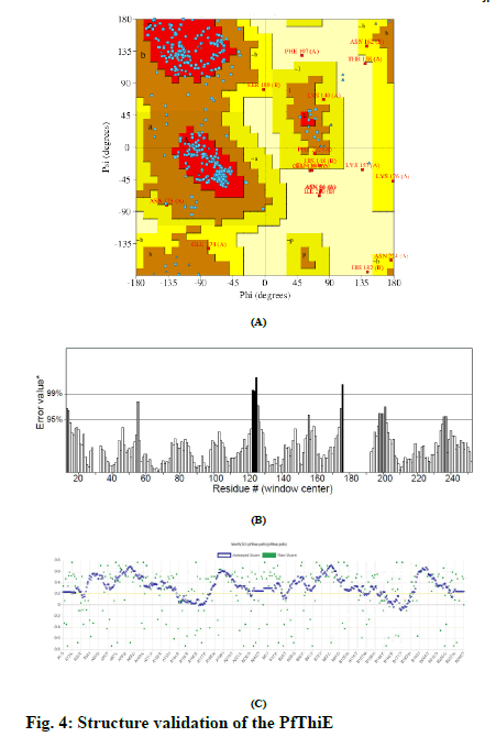 IJPS-validation