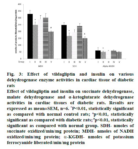 IJPS-vildagliptin-insulin