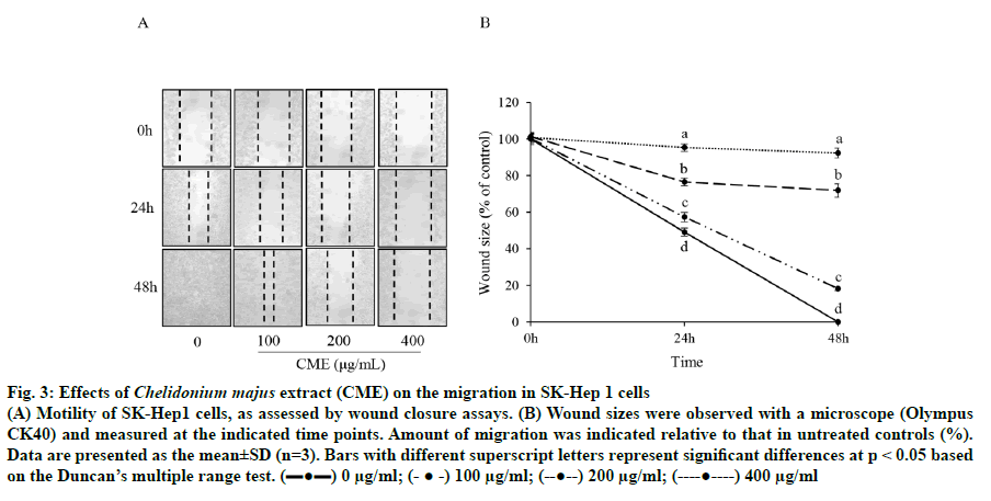 IJPS-wound-closure