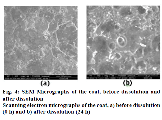 Pharmaceutical-Sciences-Scanning-electron