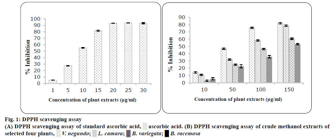 Pharmaceutical-Sciences-ascorbic-acid