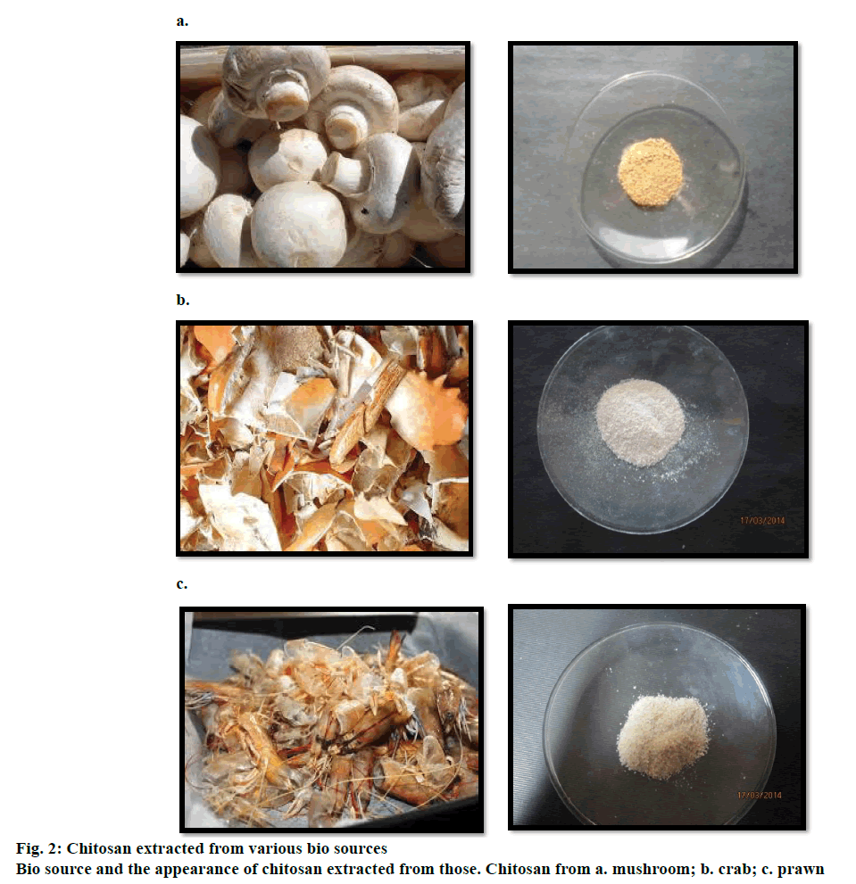 Pharmaceutical-Sciences-chitosan-extracted