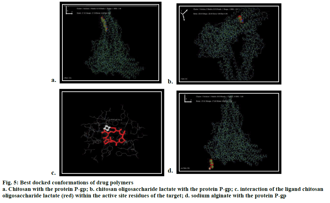 Pharmaceutical-Sciences-drug-polymers