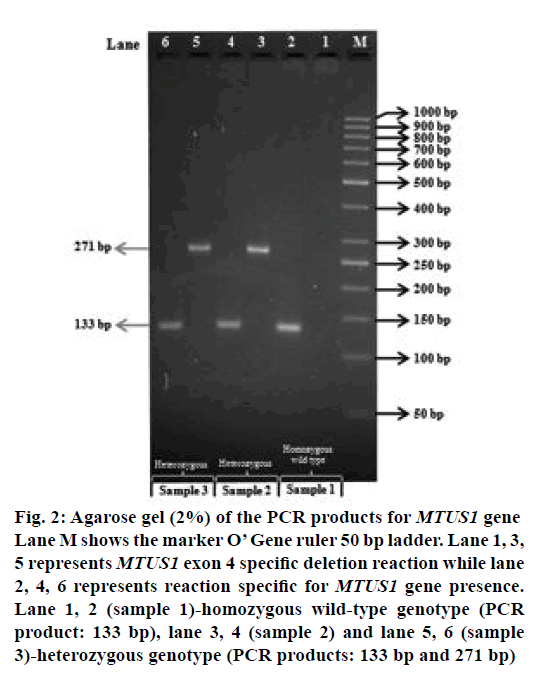 Pharmaceutical-Sciences-heterozygous-genotype