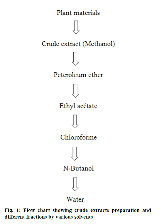 Pharmaceutical-Sciences-various-solvents