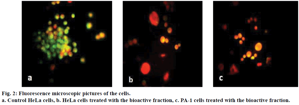 ijps-Fluorescence-microscopic