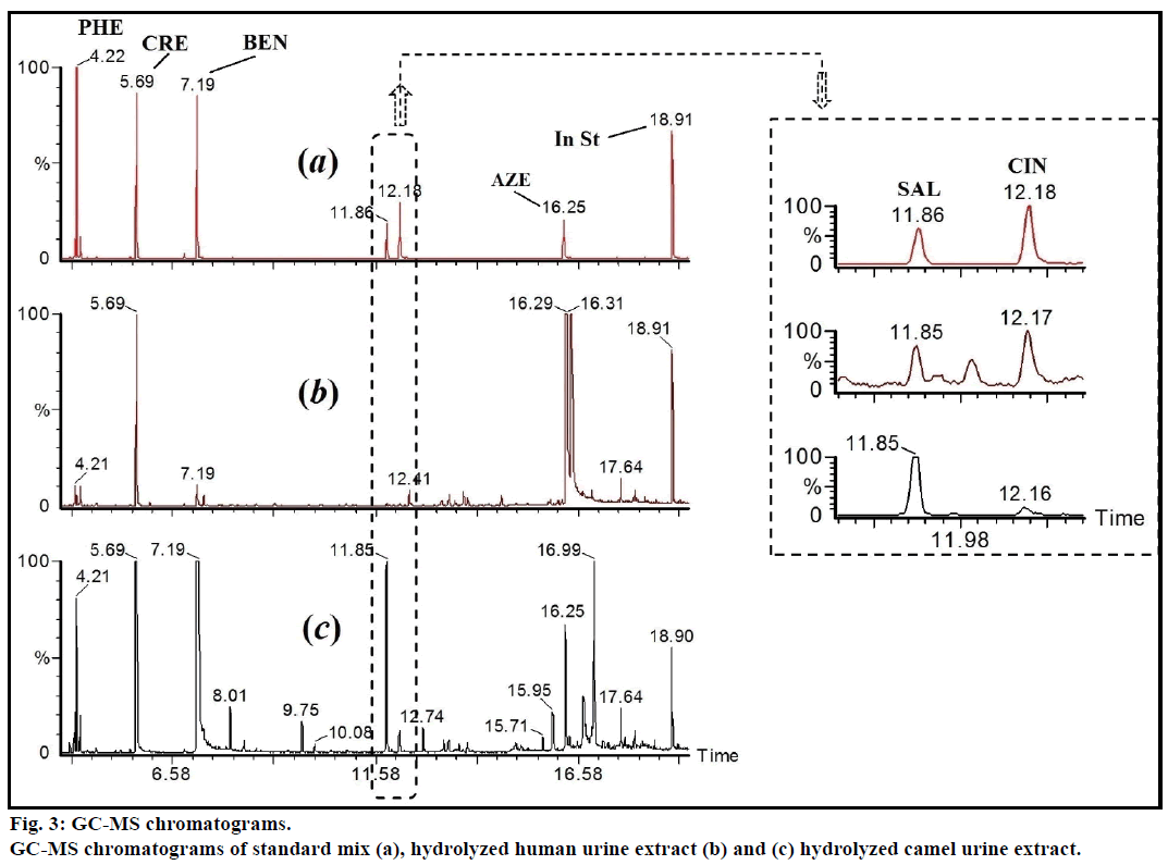 ijps-MS-chromatograms