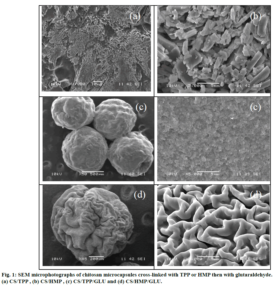 ijps-chitosan-microcapsules