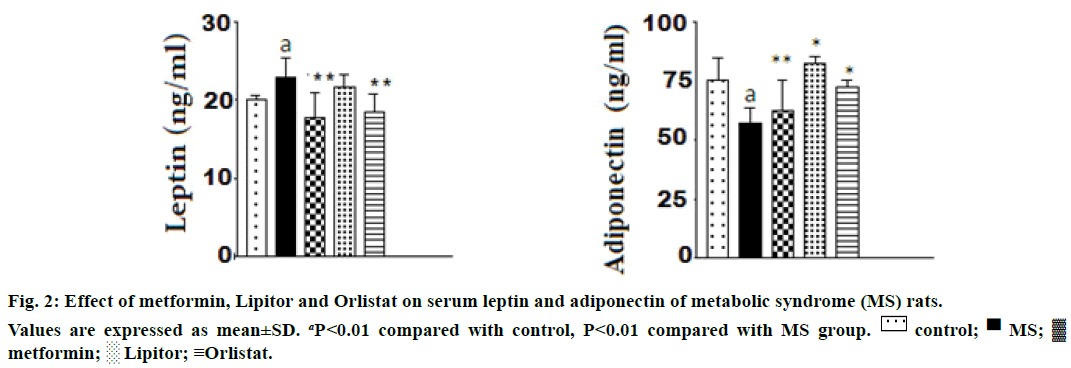 ijps-serum-leptin
