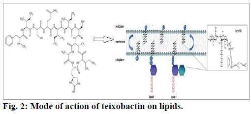 ijps-teixobactin-lipids