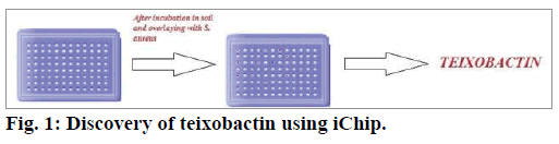 ijps-teixobactin-using-iChip