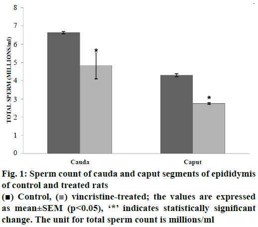 ijpsonline-Sperm-count