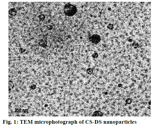 ijpsonline-TEM-microphotograph