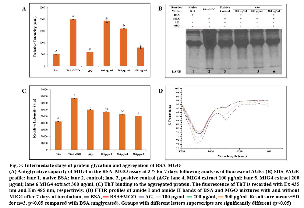 ijpsonline-aggregation-glycation