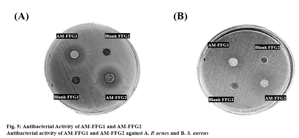 ijpsonline-antibacterial-activity