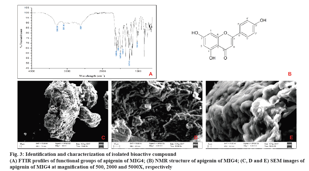 ijpsonline-apigenin