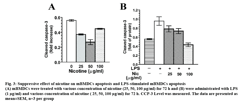 ijpsonline-apoptosis