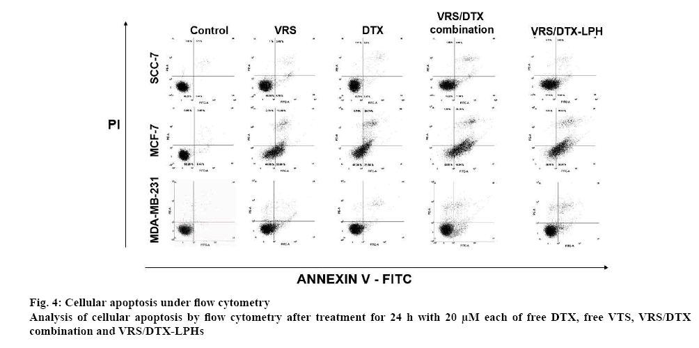 ijpsonline-apoptosis