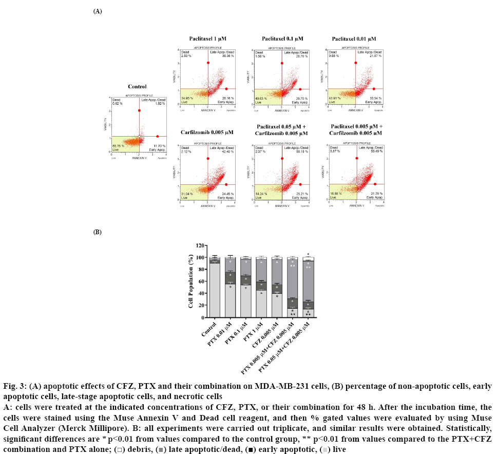 ijpsonline-apoptotic