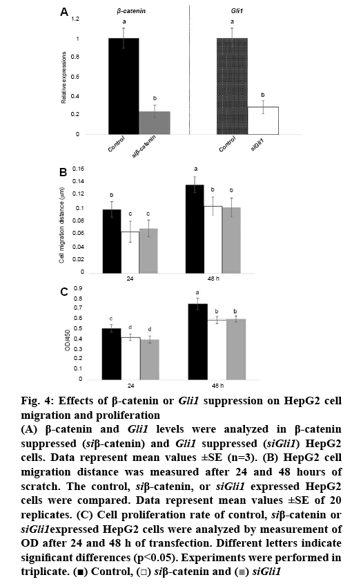 ijpsonline-catenin