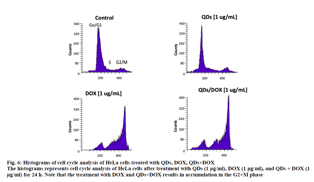 ijpsonline-cell-cycle-analysis