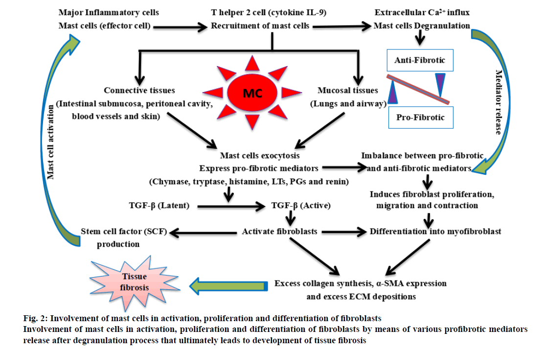 ijpsonline-cells-activation