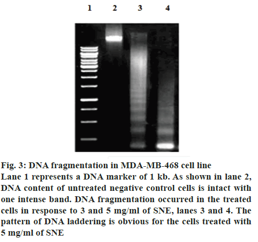 ijpsonline-cells-treated