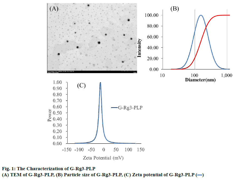 ijpsonline-characterization